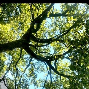 Meet your Posher, Yohany